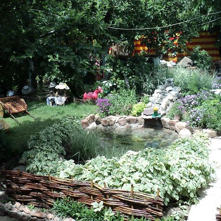 Olga Guest House โชลปอน-อาตา ภายนอก รูปภาพ