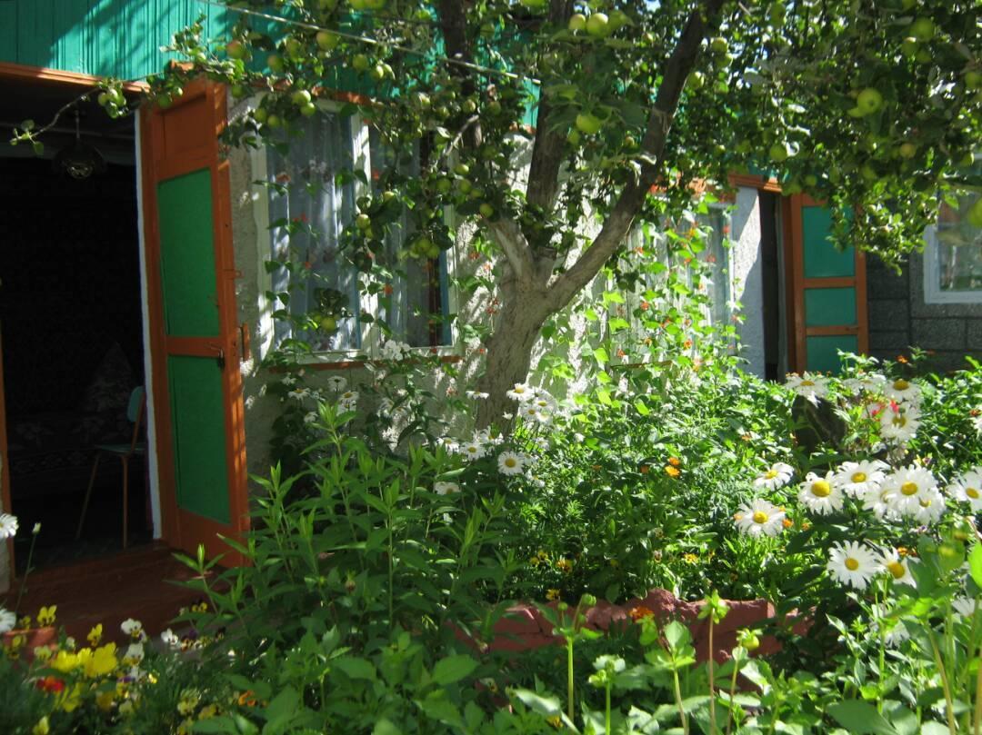 Olga Guest House โชลปอน-อาตา ภายนอก รูปภาพ