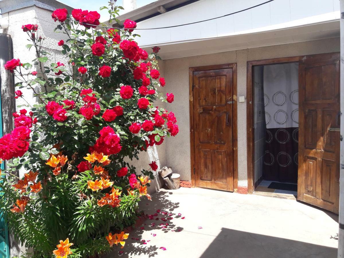 Olga Guest House โชลปอน-อาตา ภายนอก รูปภาพ