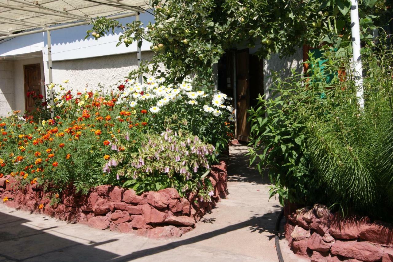 Olga Guest House โชลปอน-อาตา ภายนอก รูปภาพ