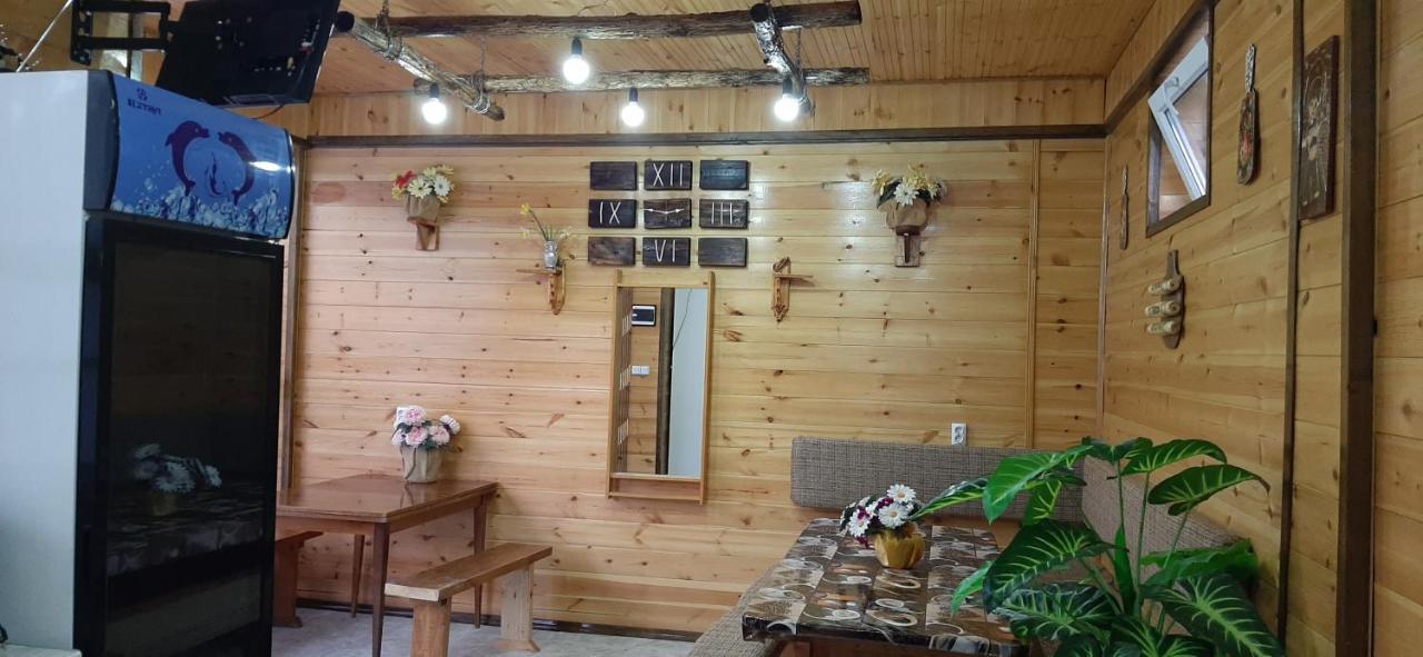 Olga Guest House โชลปอน-อาตา ภายนอก รูปภาพ