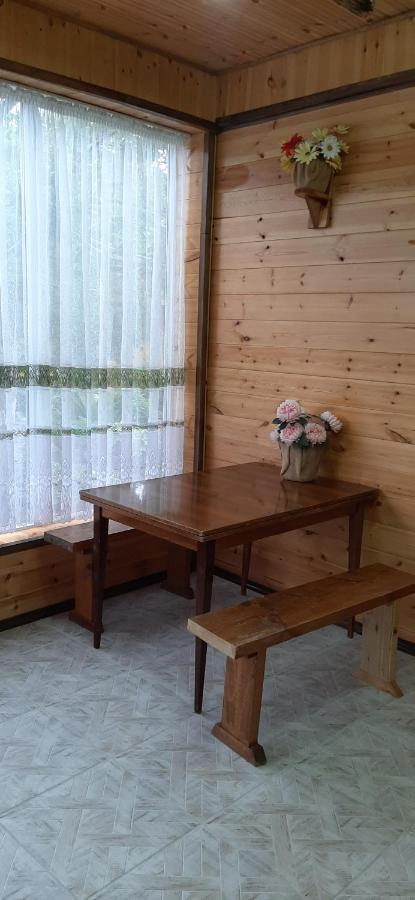 Olga Guest House โชลปอน-อาตา ภายนอก รูปภาพ